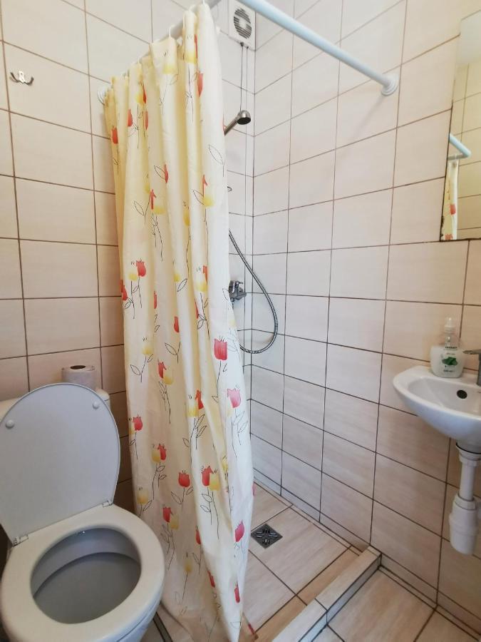 ホテル Poilsis Dzuku 10 A パランガ エクステリア 写真